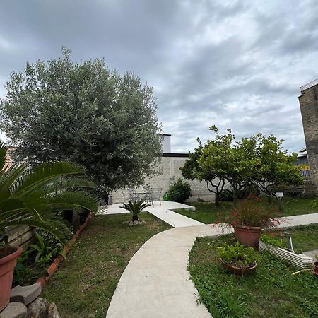 Villa Cycas Cellole Exterior foto