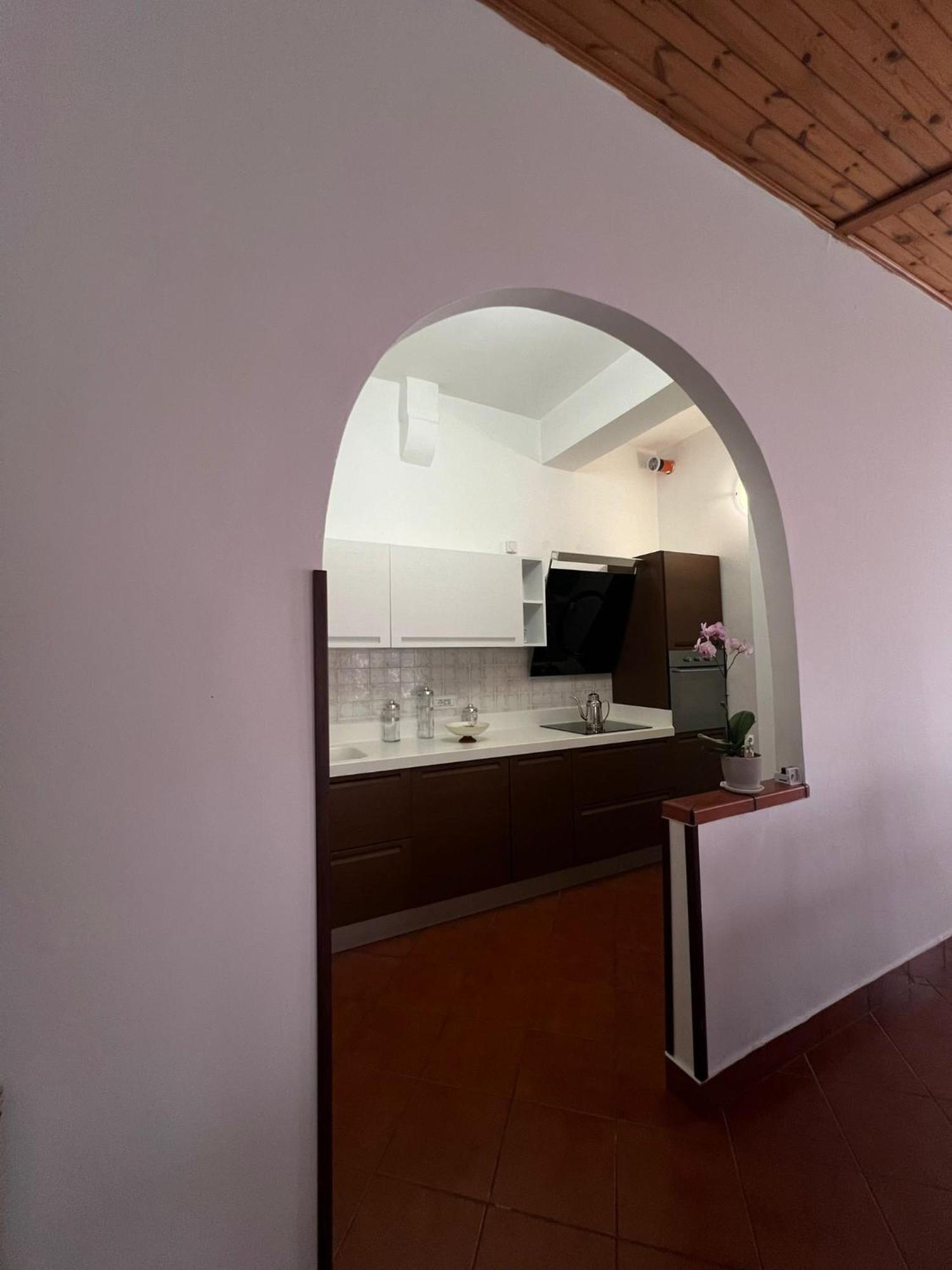 Villa Cycas Cellole Exterior foto