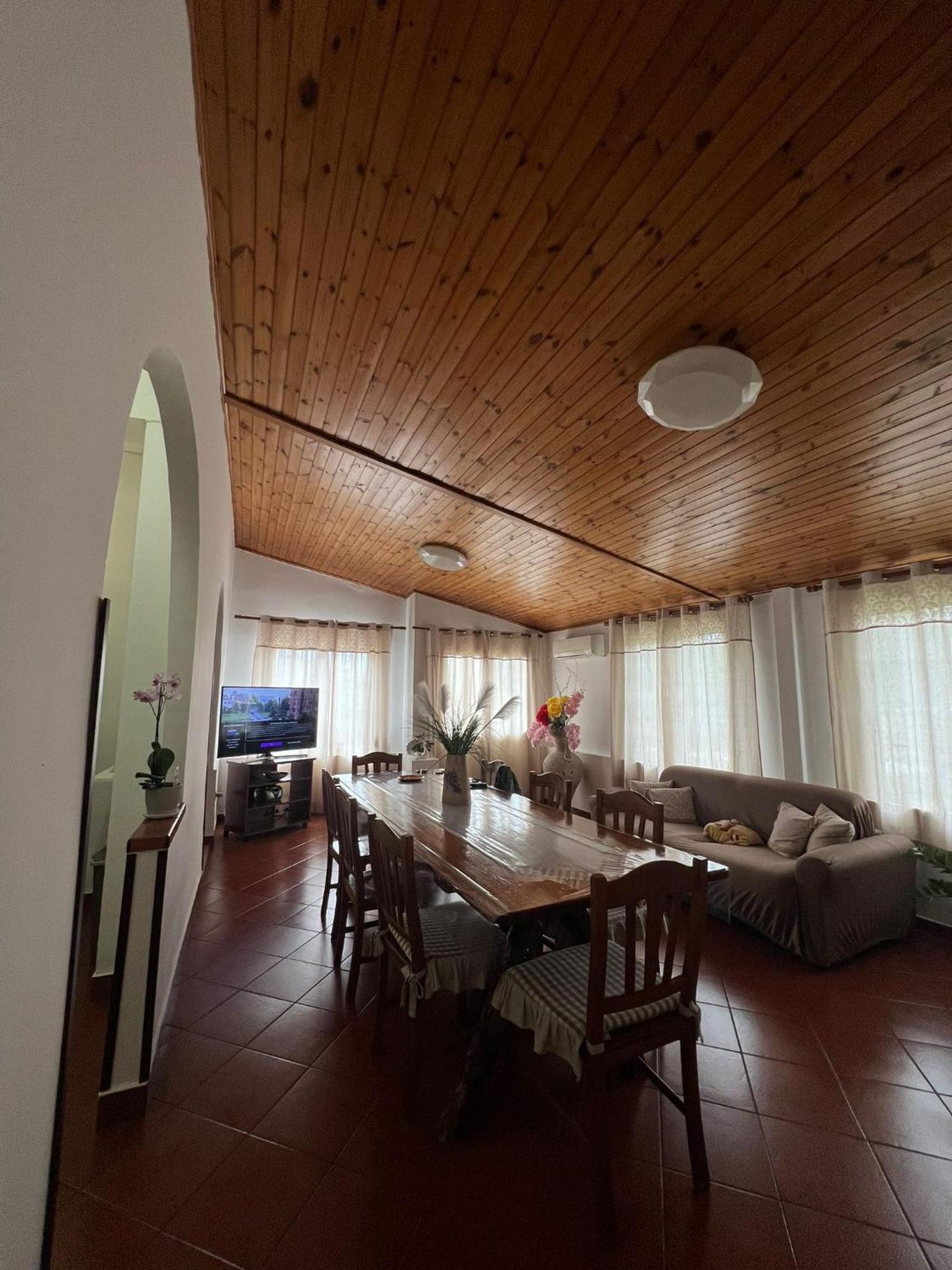 Villa Cycas Cellole Exterior foto