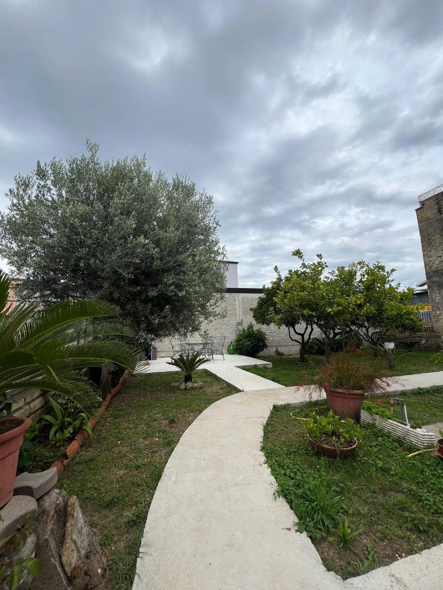 Villa Cycas Cellole Exterior foto